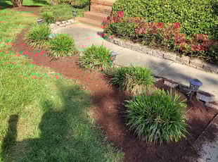 Mulching by Roberto Carrasco for Shomari S. in Rock Hill, SC