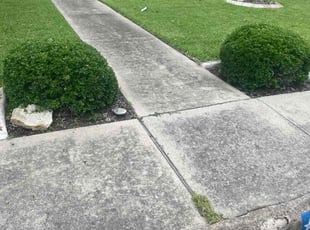 Bush Trimming by Timothy Brown for Rachel G. in Frisco, TX