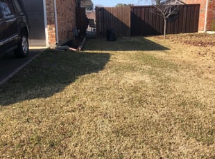 Cleanups by Juan Antonio Perez Vazquez for Beverly H. in Carrollton, TX