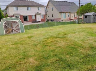 Cleanups by Timothy Muir for Tim T. in Sterling Heights, MI