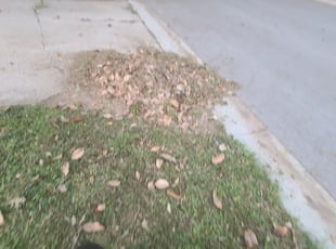 Bush Trimming by Johnny Mihm for Clint G. in Lee's Summit, MO