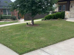Clarissa K.'s Lawn Mowing Service service result