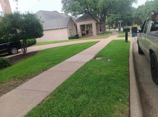 Desiree M.'s Lawn Service service result