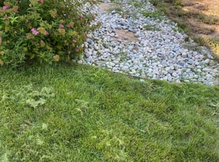 Cleanups by Tylon Newcomb for Natalia M. in Aurora, CO