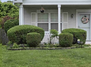 Bush Trimming by Nicholas Sarcletti for Brittany B. in Plainfield, IL