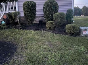 Bush Trimming by Martin Southerland for Domonique D. in Henrico, VA