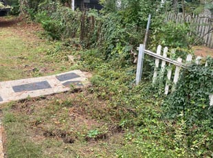 Bush Trimming by Chanz Duff for Alice C. in Richmond, VA