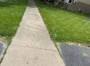 Scarlene A.'s Lawn Mowing Service service result