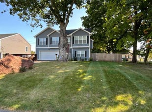 Jacobi M.'s Lawn Maintenance service result