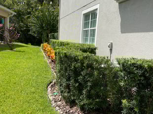 Bush Trimming by Ramon Gonzalez for Patricia C. in Orlando, FL