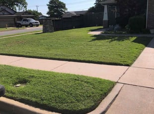Keith R.'s Yard Cutting service result