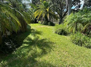 skylar k.'s Lawn Mowing service result