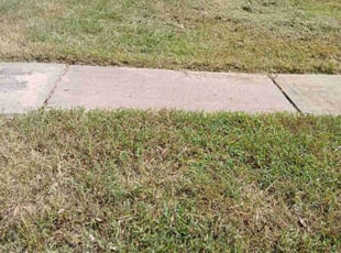 Cleanups by Efrain Perez for Zach T. in Katy, TX