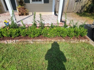 Weeding by Joshua Hamilton for Boone G. in Baton Rouge, LA