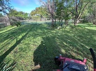 Kathy L.'s Yard Cutting service result