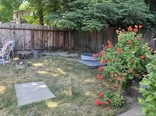 Leaf Removal by Juan Rodriguez for Joyce Z. in Sacramento, CA