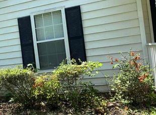 Bush Trimming by Carlos Torres Ayala for Kim R. in Woodstock, GA