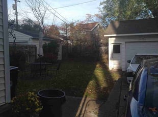 Leaf Removal by Elizabeth Williams for Sheila M. in Cleveland, OH
