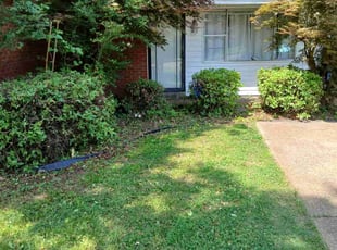 Bush Trimming by Patrick Wynn for Joshua P. in Southaven, MS
