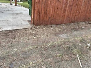 Cleanups by Alexander Stevenson for Alasdair J. in LOS ANGELES, CA