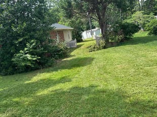 Bush Trimming by David Lersch for Tom S. in Spartanburg, SC