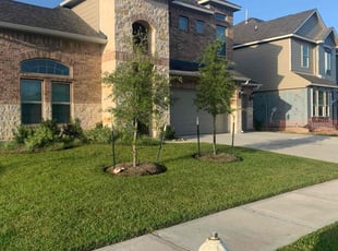 Deidra J.'s Lawn Maintenance service result