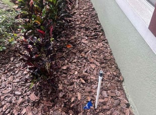 Weeding by Daniel Gonzalez for Karen R. in Haines City, FL