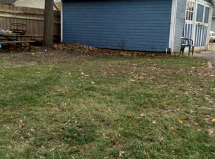 Leaf Removal by Kevin Rhyne for Lawren K. in Madison, WI