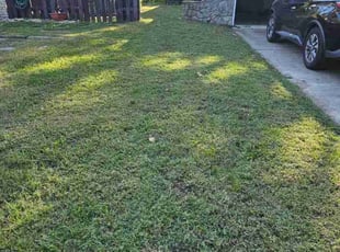 Amy G.'s Lawn Care service result