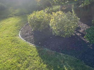 Weeding by Neal Ferris for Lisa C. in Buffalo, NY