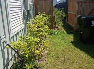 Bush Trimming by Andrew Favazzo for Shanice P. in Summerville, SC