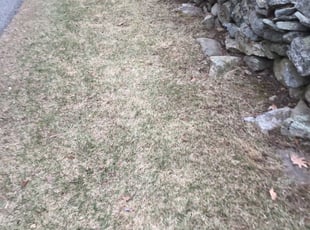 Cleanups by Harry Luis for Marcelina M. in Spencer, MA