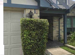 Bush Trimming by Hugo Melgar for Robert F. in Sugar Land, TX