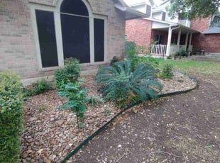 Leaf Removal by Mike Ward for Gwendolyn L. in San Antonio, TX