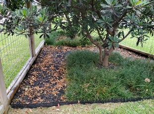 Weeding by Kendrick Myers for Kayla L. in Houston, TX