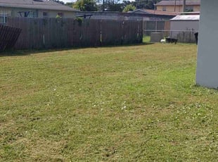 Toni E.'s Lawn Service service result