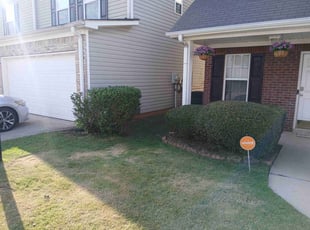 Bush Trimming by Lucas Glover for Kyla B. in McDonough, GA