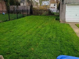 Diana S.'s Lawn Mowing service result