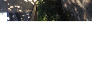 Bush Trimming by Aundra Thomas for Debbie B. in Fort Worth, TX