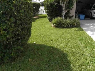 Judith W.'s Lawn Care service result