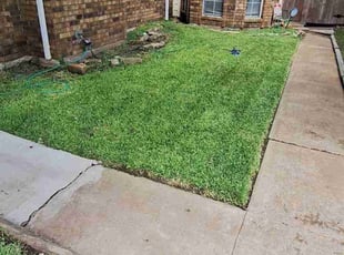 Virginia B.'s Lawn Mowing service result