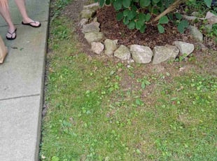 Cleanups by Roy McDowell for Samantha M. in Louisville, KY