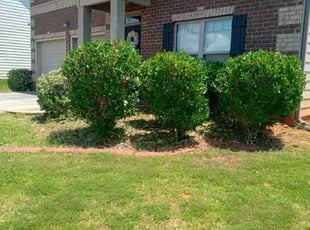 Bush Trimming by Michael Leslie for Denise R. in Rex, GA