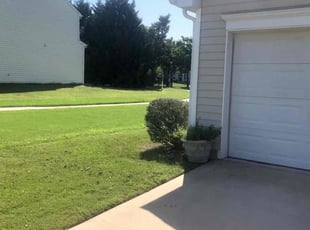 Bush Trimming by Erick G for Bhupendra P. in Morrisville, NC
