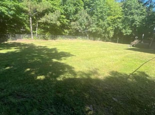 Antiqua S.'s Lawn Service service result
