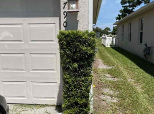 Bush Trimming by Robert Adams for Juanita T. in Melbourne, FL