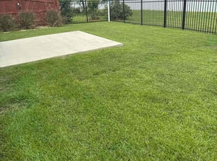DeAnna H.'s Yard Cutting service result