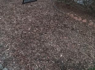 Cleanups by Kamonta Hackey for Natasha C. in Washington, DC