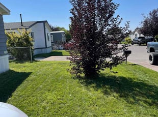 Betty T.'s Lawn Maintenance service result