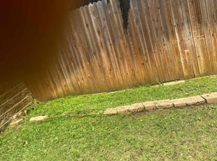 Weeding by Shameem Mohmand for Brandon S. in Hurst, TX